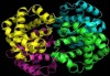 Βιολόγοι σχεδιάζουν πρωτεΐνες παραγγελία
